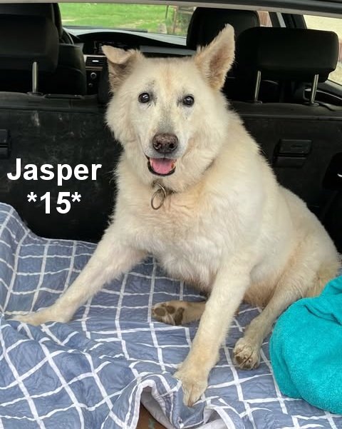 jas15