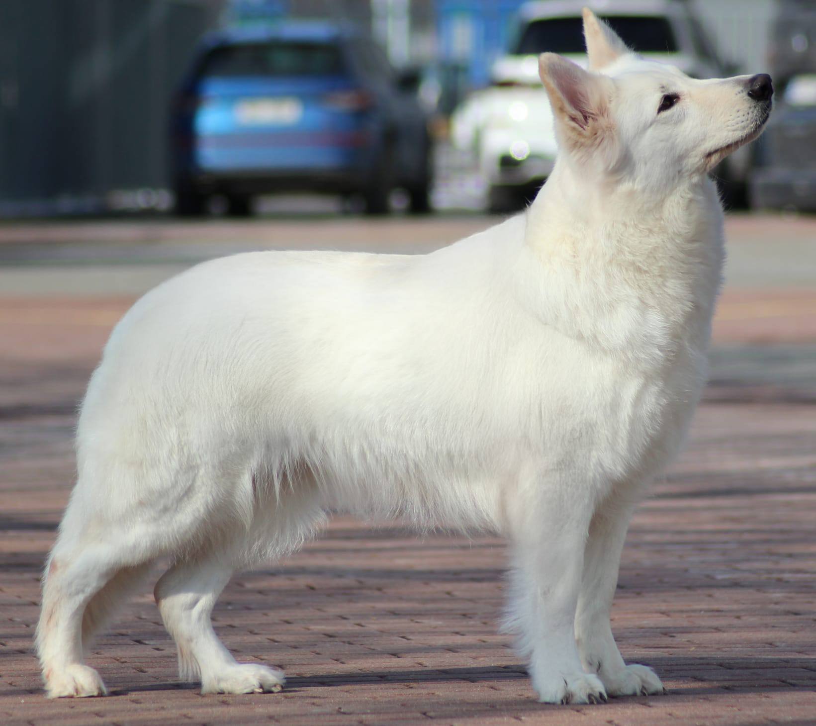 516033628 24644396195144589 8827644380105585830 n