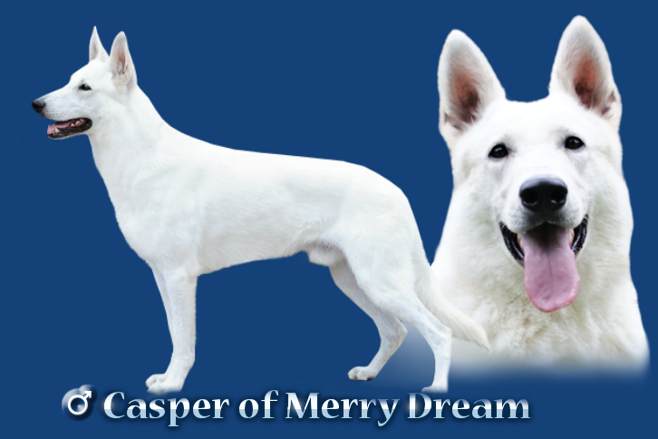 Casper