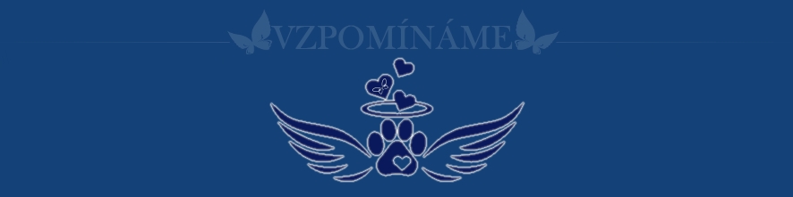 vzpom